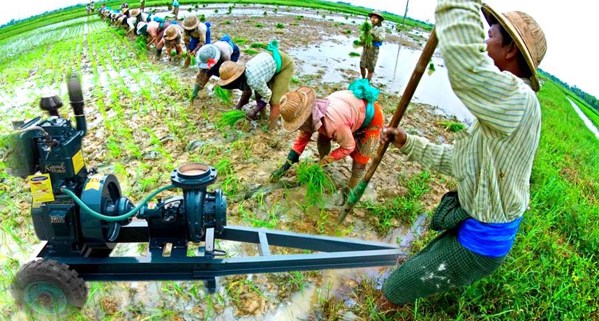 kissan shakti diesel engine pumpset